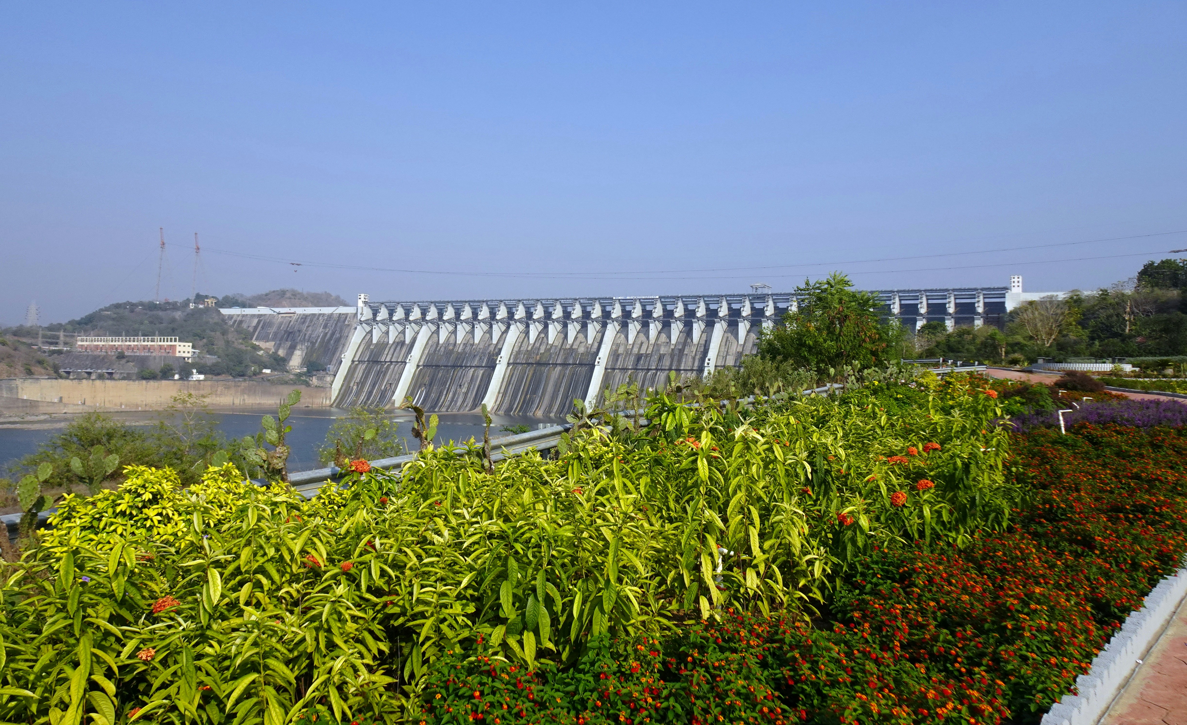 Places in Munnar for One Day Trip