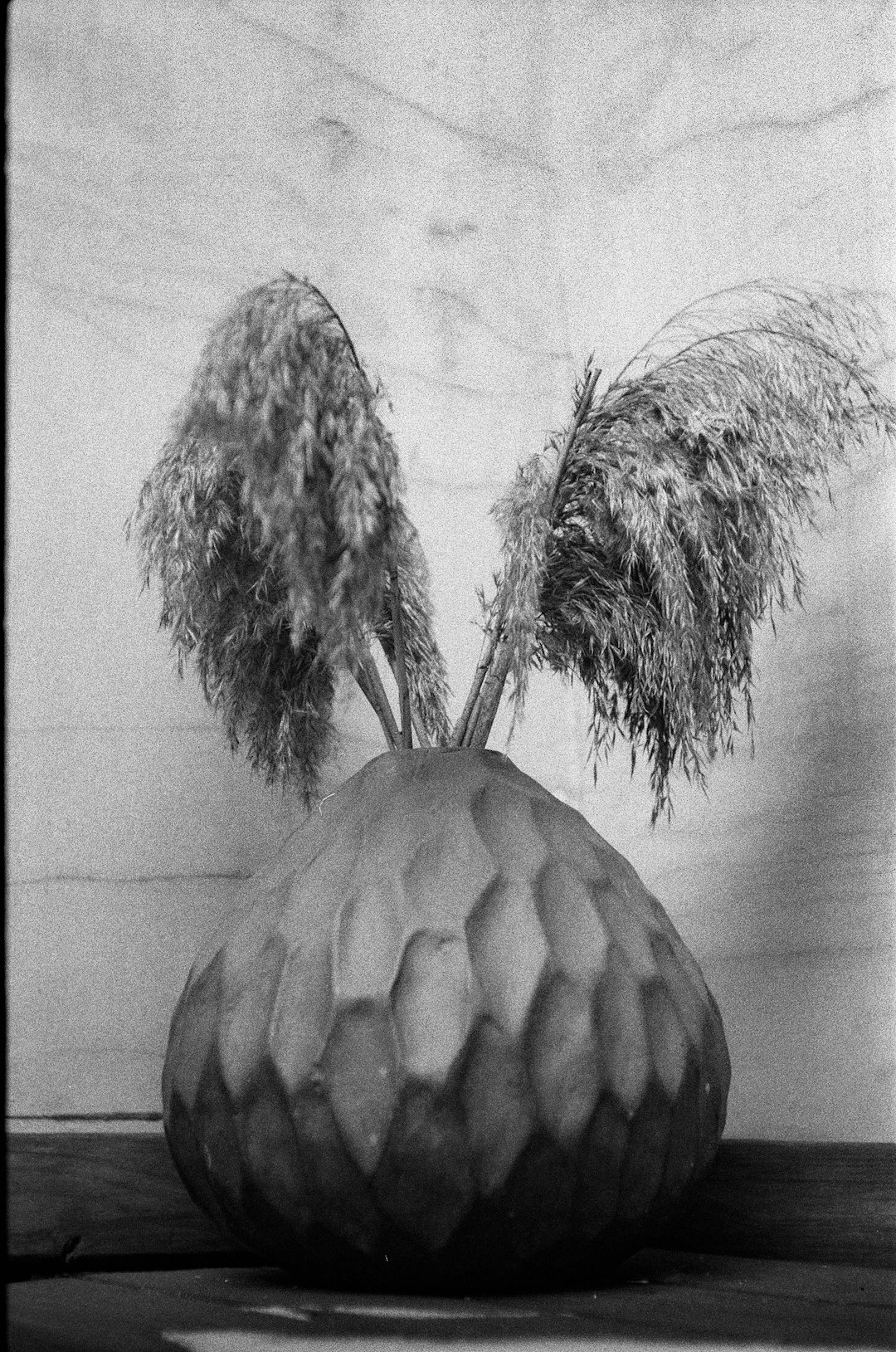 grayscale photo of tree with leaves