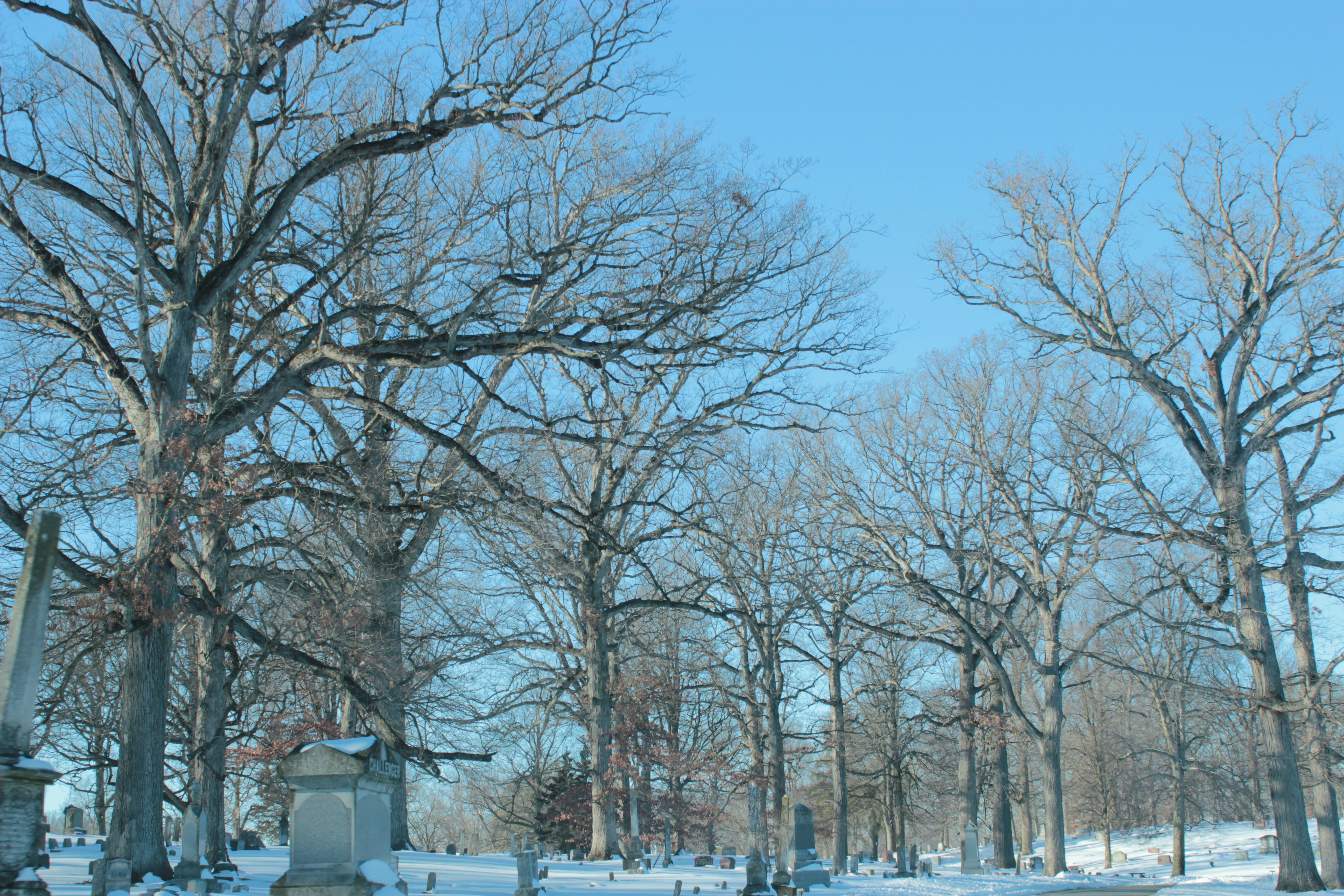 Photo by mrgreatheart