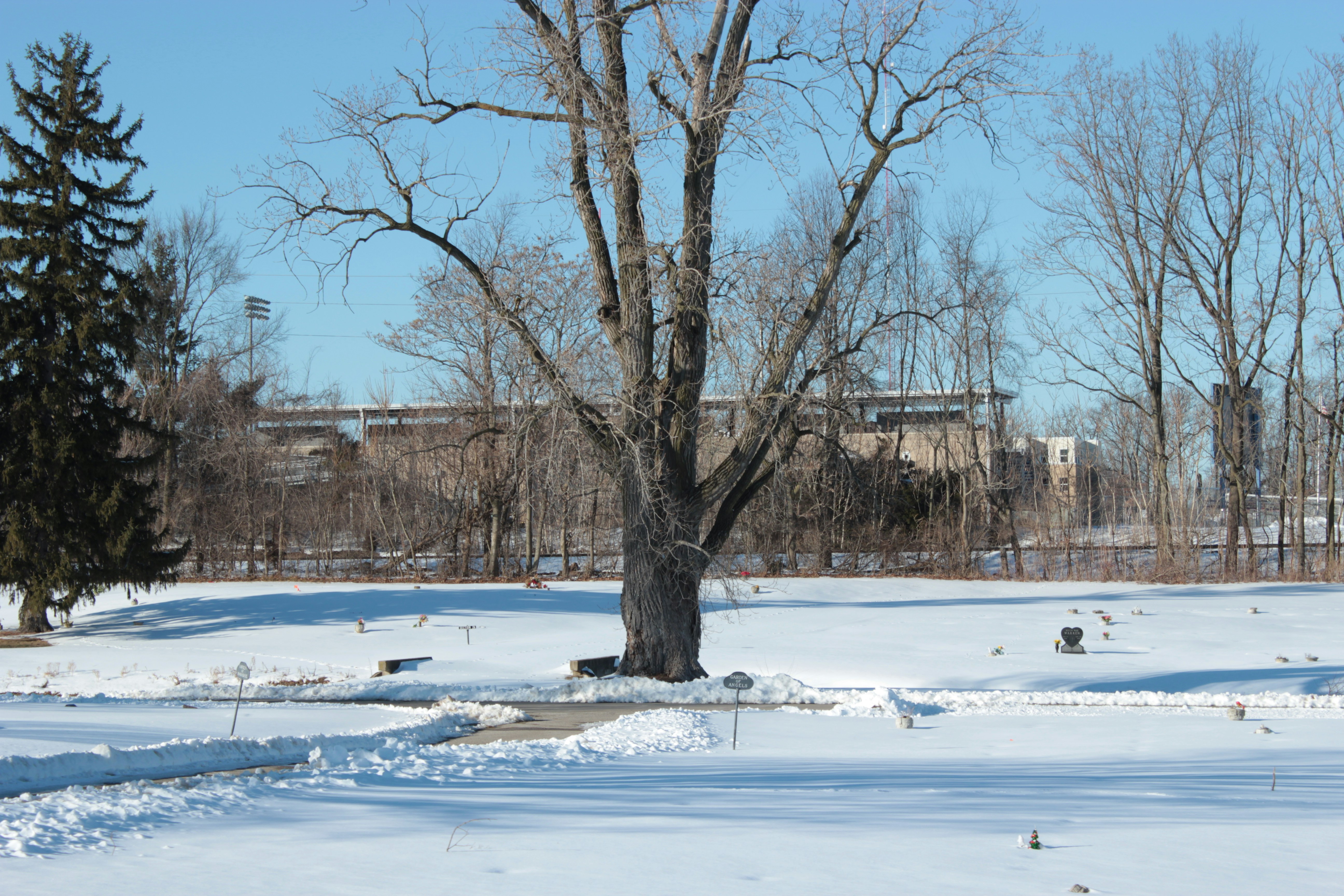 Photo by mrgreatheart