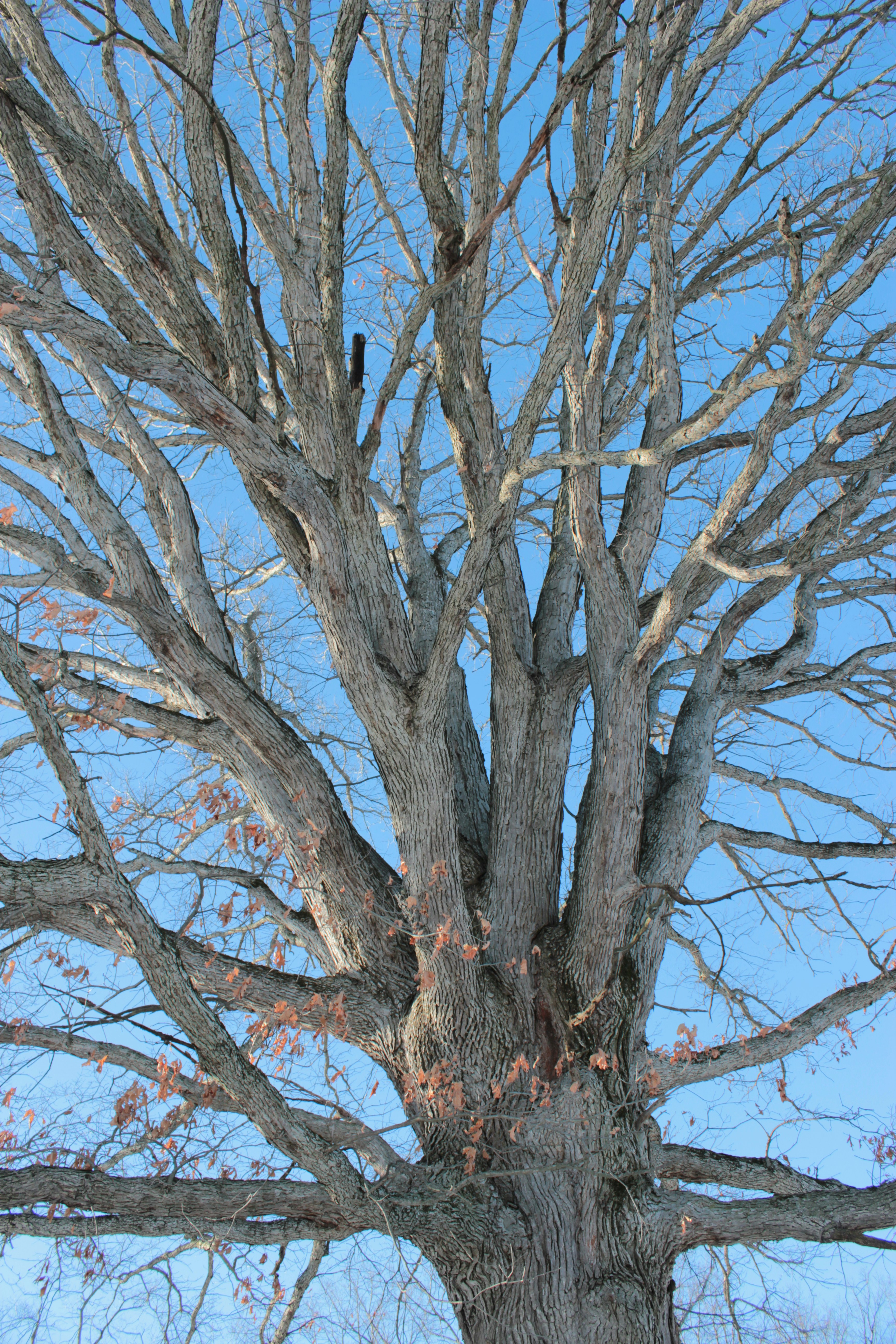 Photo by mrgreatheart