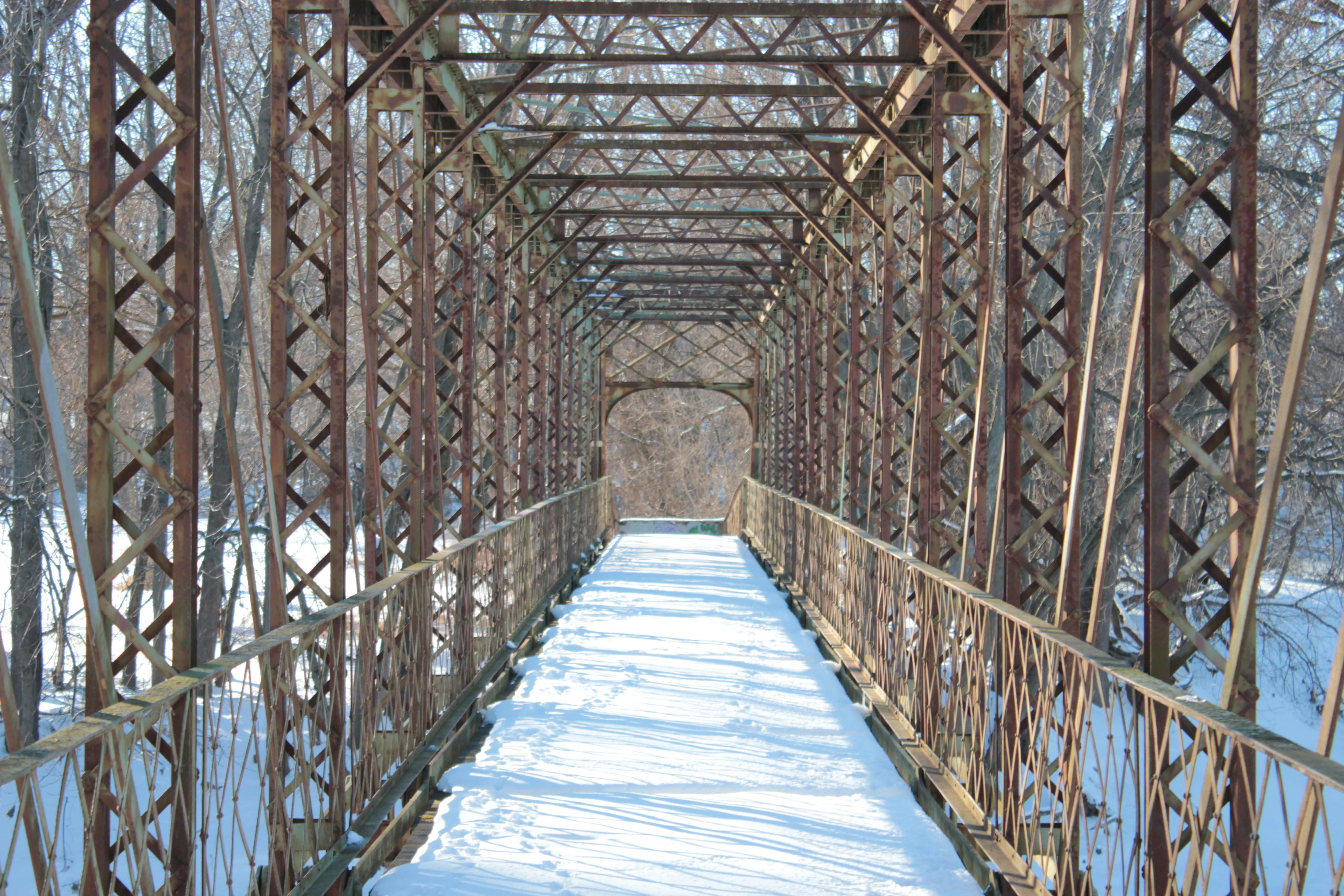 Photo by mrgreatheart