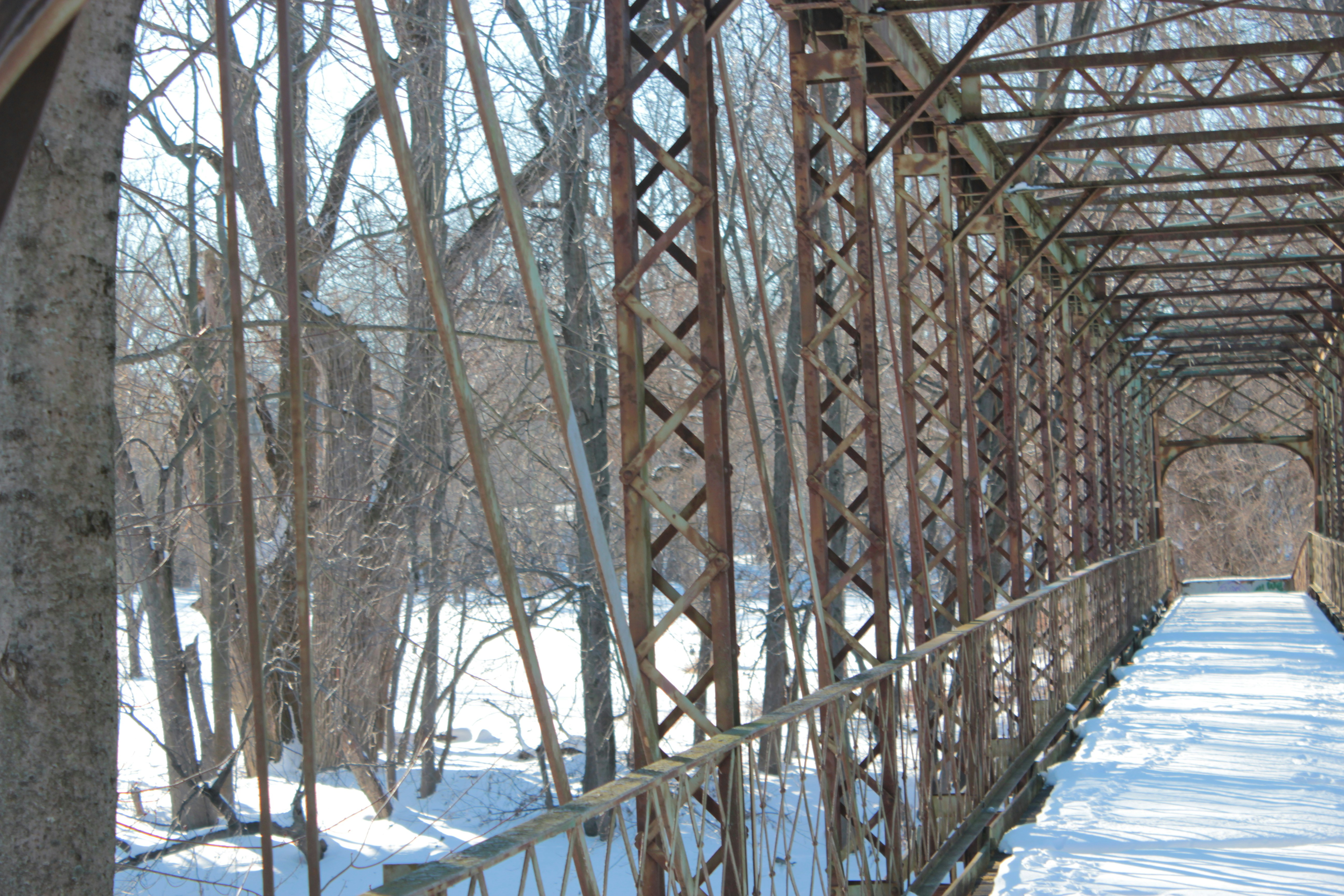 Photo by mrgreatheart