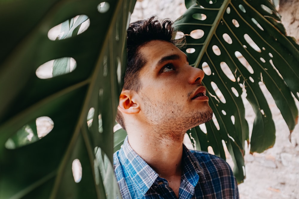 man in blue white and red plaid button up shirt