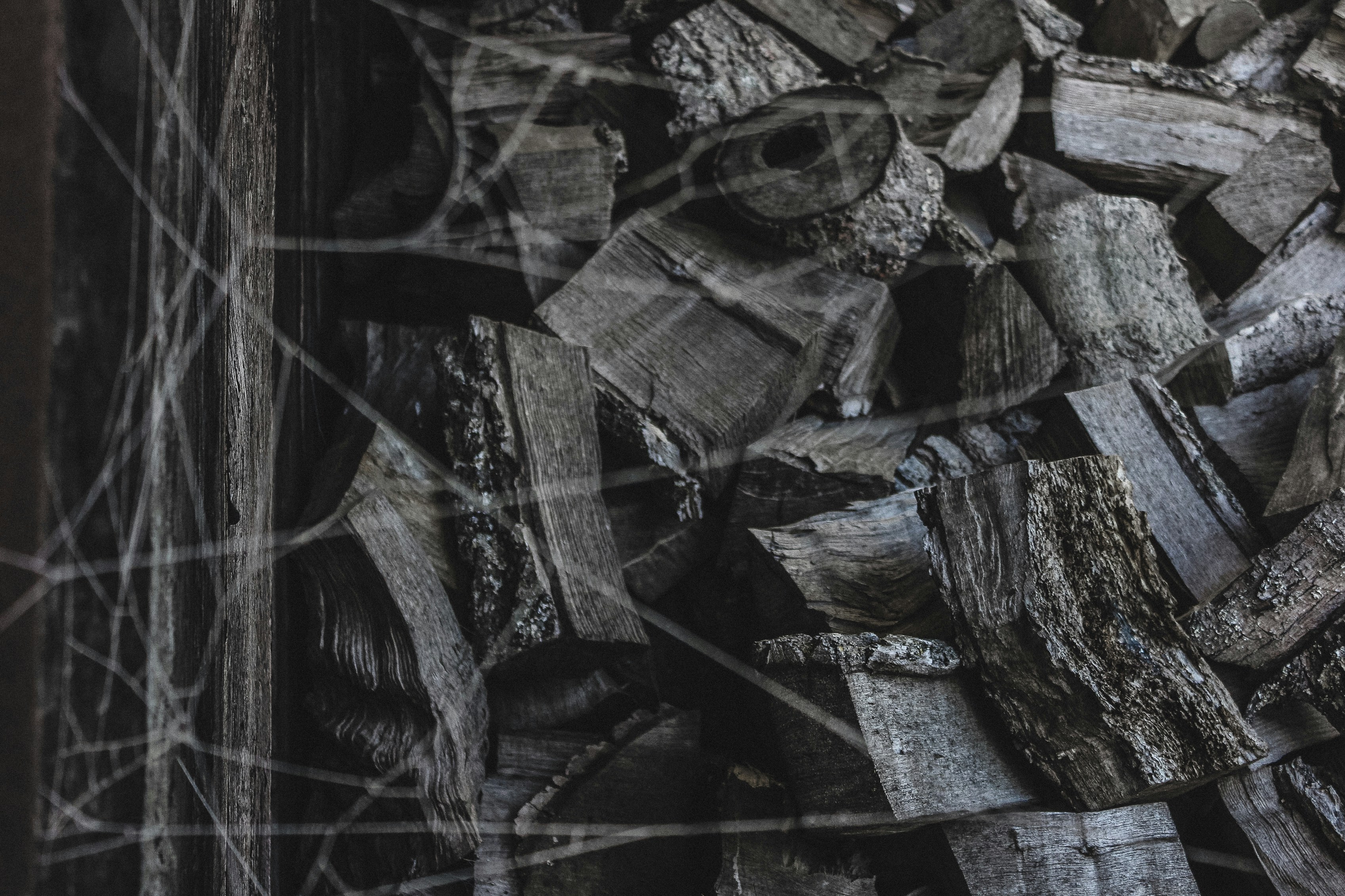 Photo by jennywhitney