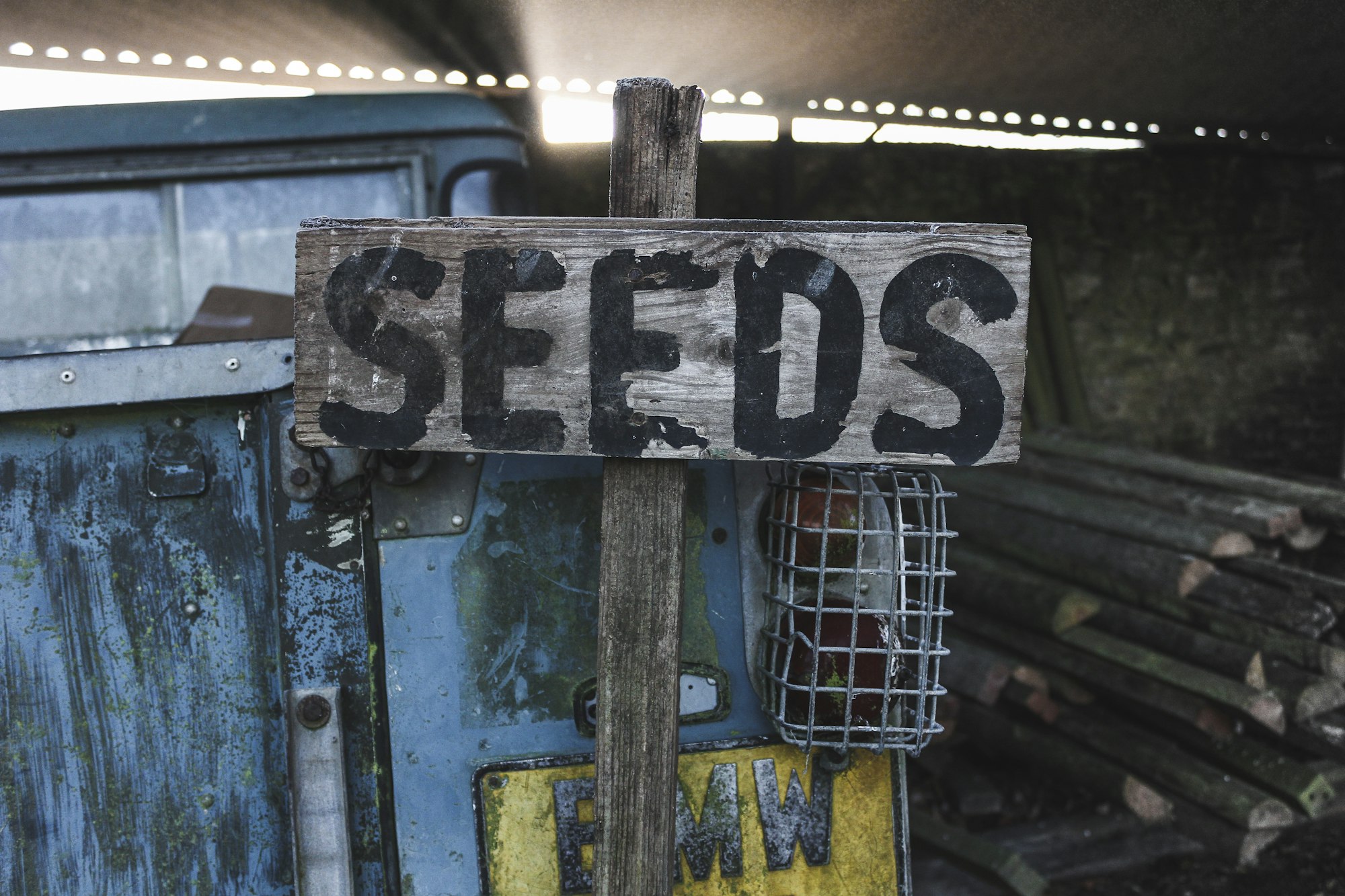 Does allotment gardening help make you self-sufficient?