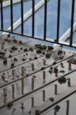 A section of a wet wooden deck displays scattered clumps of green moss. Metal railings create reflections on the surface of the wood, highlighted by the overcast sky visible through glass panels in the background.