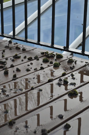 A technician pressure washing and preparing a weathered wood surface on a deck, removing moss and debris for lasting stain adhesion.