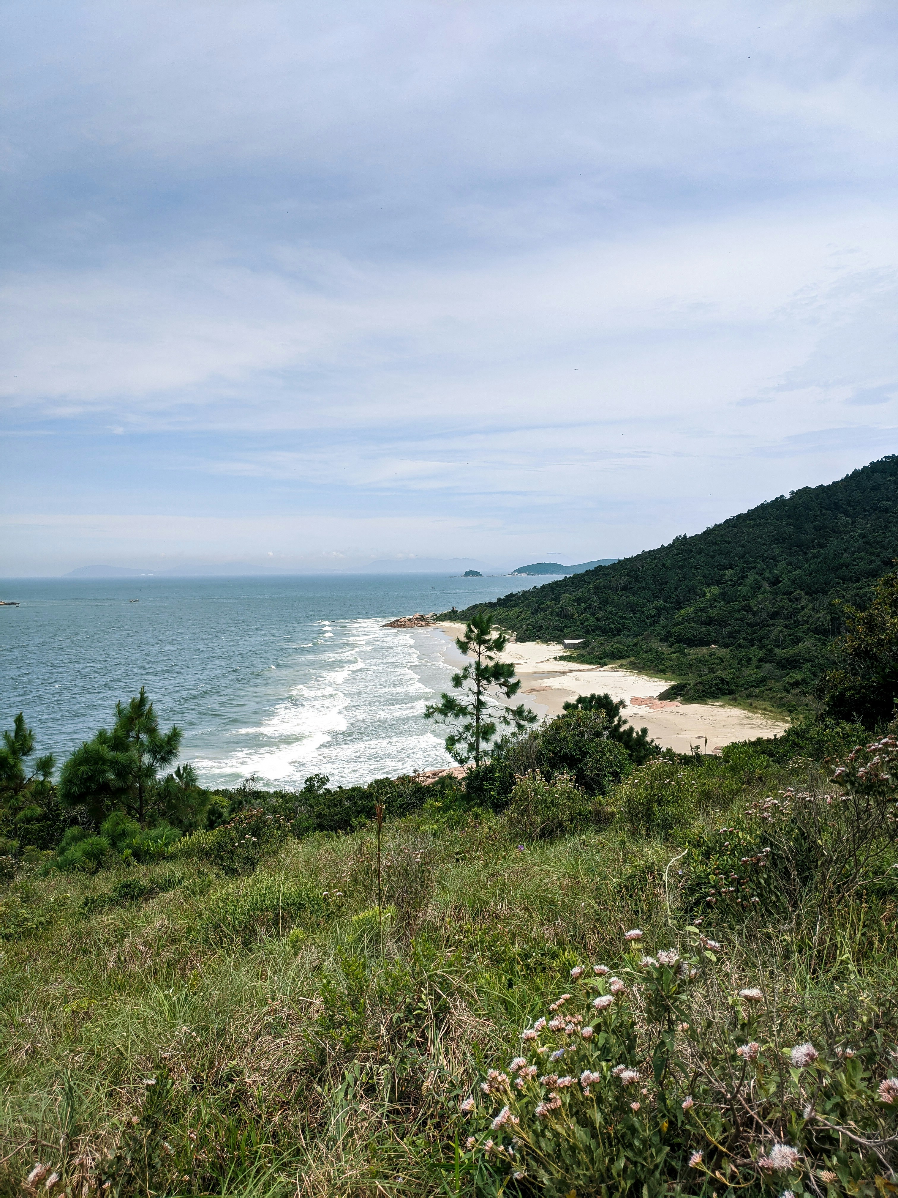 Coastal cliff path with ocean views