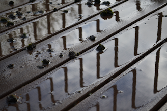 Raindrops create ripples on a wet wooden deck. Reflections of a railing pattern are visible in the water collected on the planks. Small patches of moss or algae are scattered across the surface.