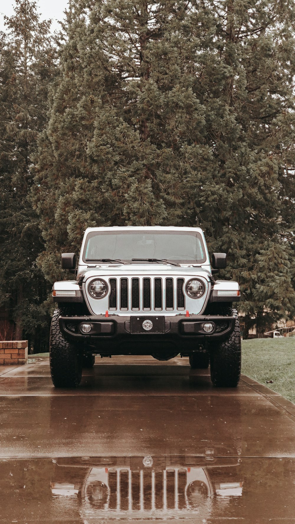 white jeep wrangler parked near green trees during daytime