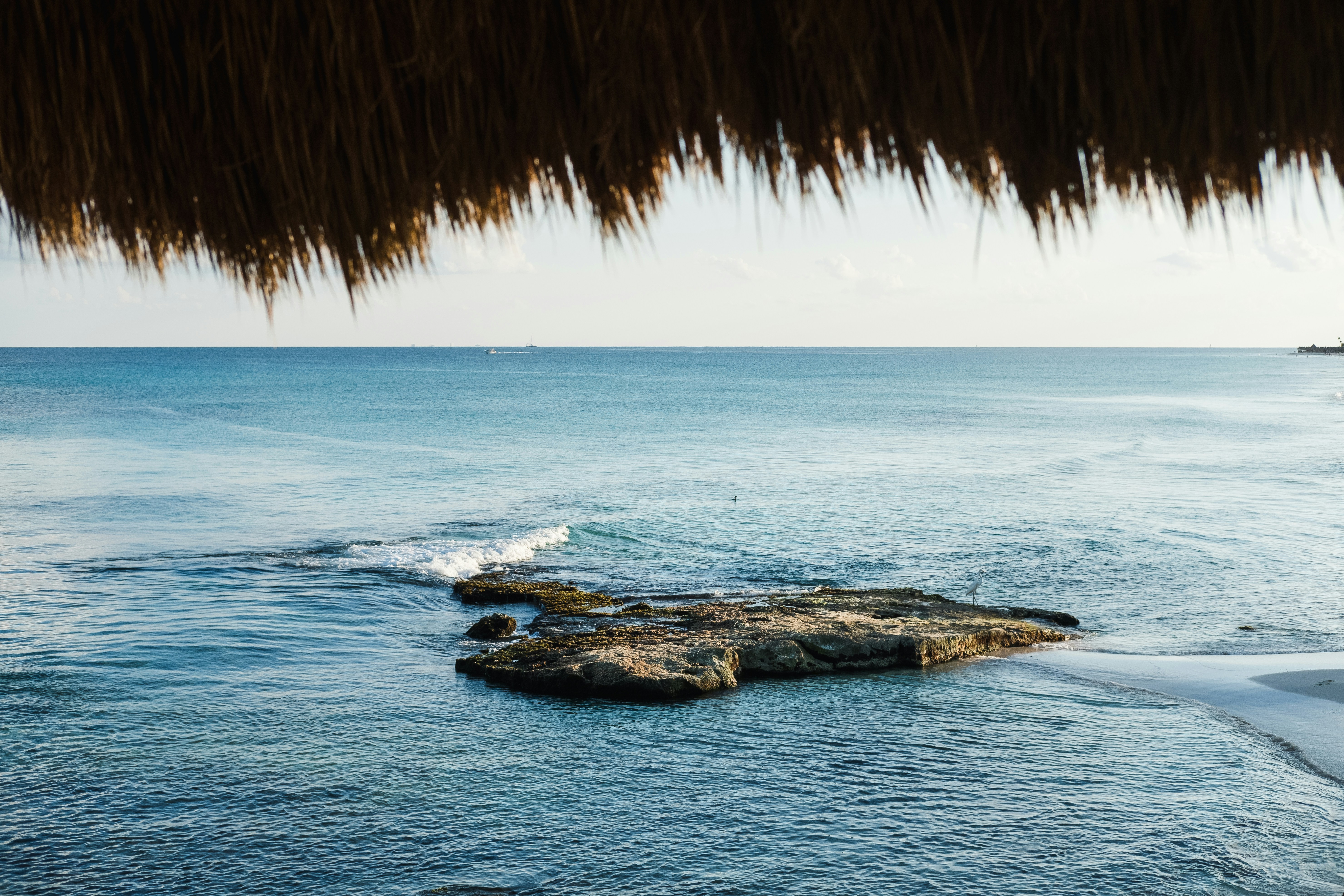 Formación de rocas marrones en el mar durante el día