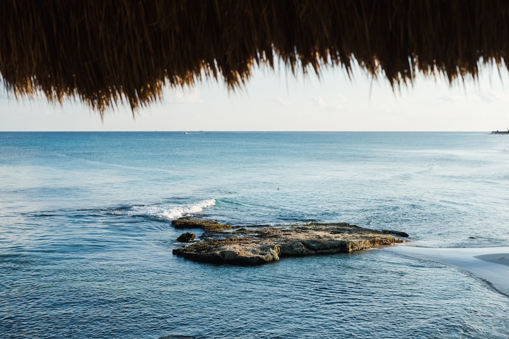 brown rock formation on sea during daytime