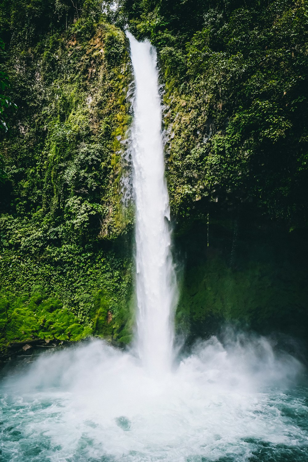 waterfalls in the middle of green trees