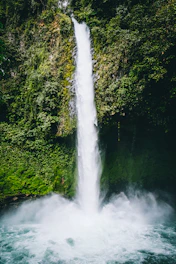 waterfalls in the middle of green trees