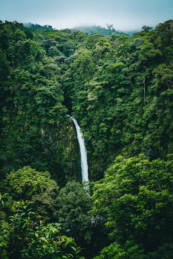 Catarata La Fortuna · bosque lluvioso de Costa Rica