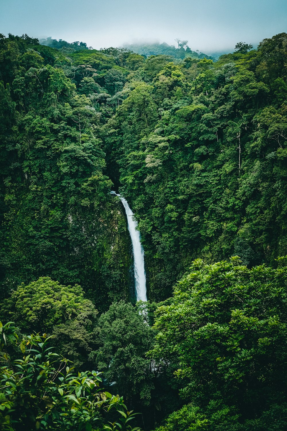 waterfalls in the middle of green trees