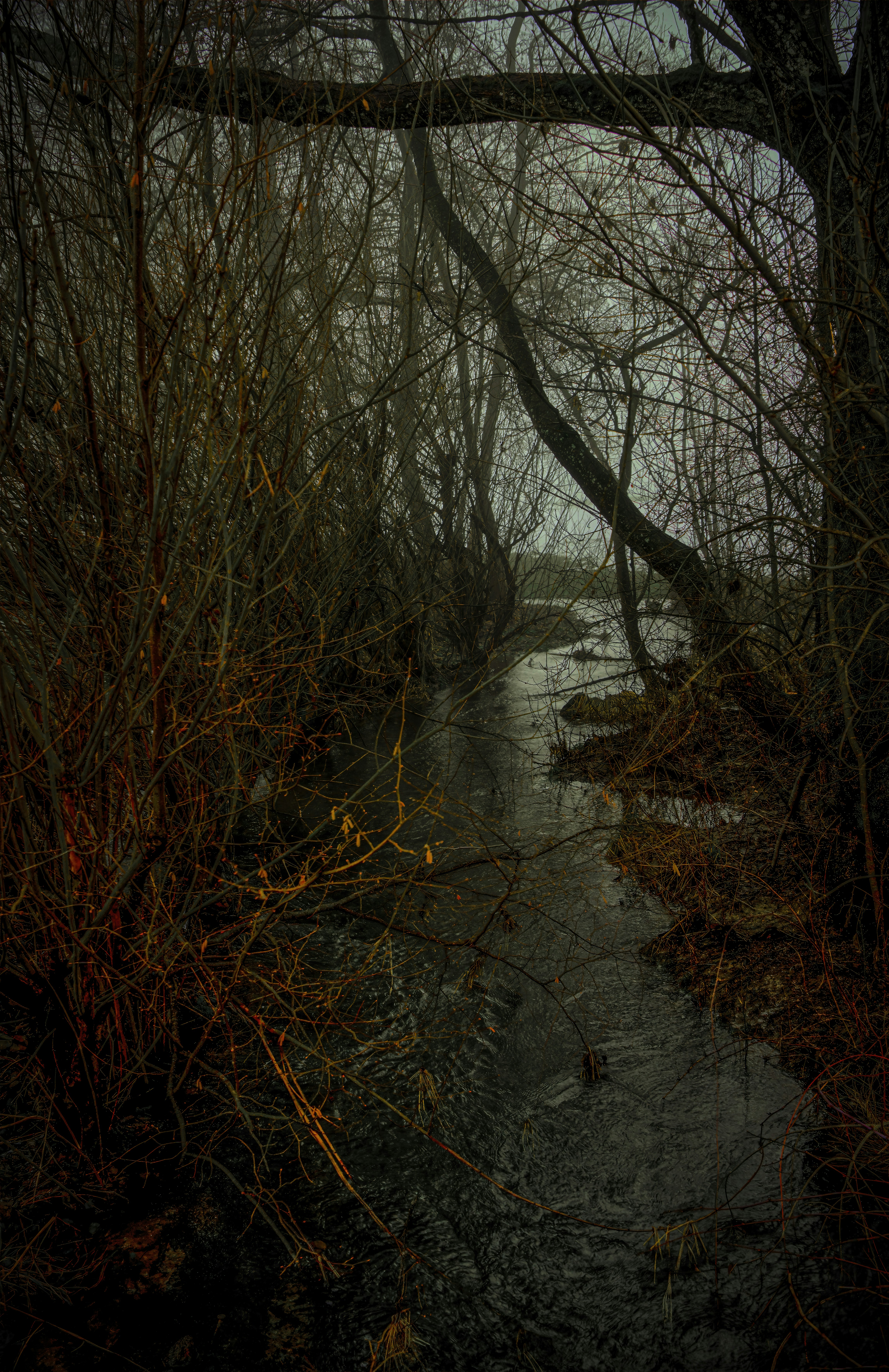 Photo by rgaleriacom