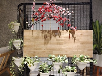A decorative setup featuring a black grid structure adorned with artificial cherry blossom branches in pink and red. Small decorative tassels hang from the branches. Several lush green plants are placed in white planters hanging from the structure and positioned at the bottom. A wooden board serves as a backdrop, adding a rustic touch to the arrangement. A chair with a cushion sits on the left side, and a tall plant is visible on the right.