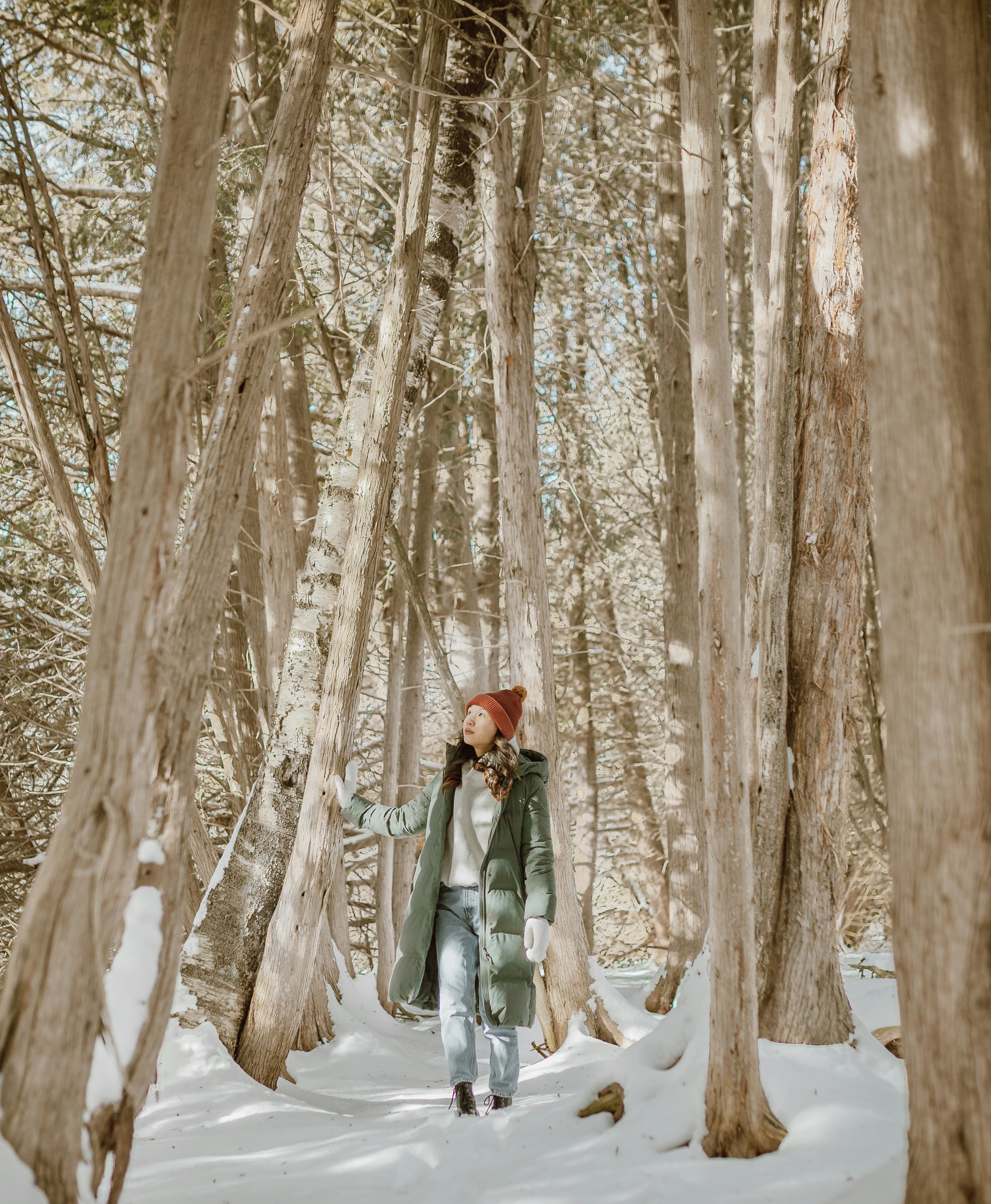 Photo by majestical_jasmin