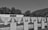 A series of orderly arranged tombstones in a cemetery, with inscriptions visible on several of them. The area is surrounded by neatly maintained grass and a backdrop of trees, and a memorial wall features relief sculptures.