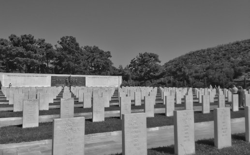 A series of orderly arranged tombstones in a cemetery, with inscriptions visible on several of them. The area is surrounded by neatly maintained grass and a backdrop of trees, and a memorial wall features relief sculptures.