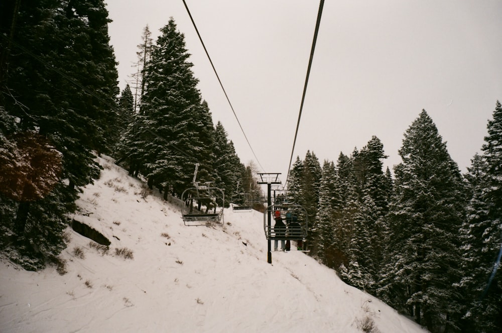 people riding ski lift over snow covered ground near green trees during daytime