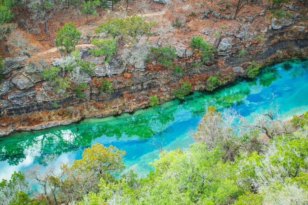 blue lake surrounded by brown and green trees during daytime