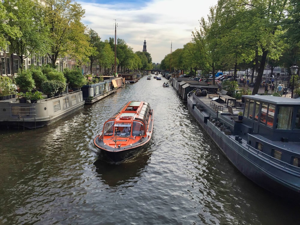 red and white boat on river during daytime