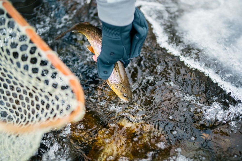 person in blue jacket and white pants with yellow fish on water