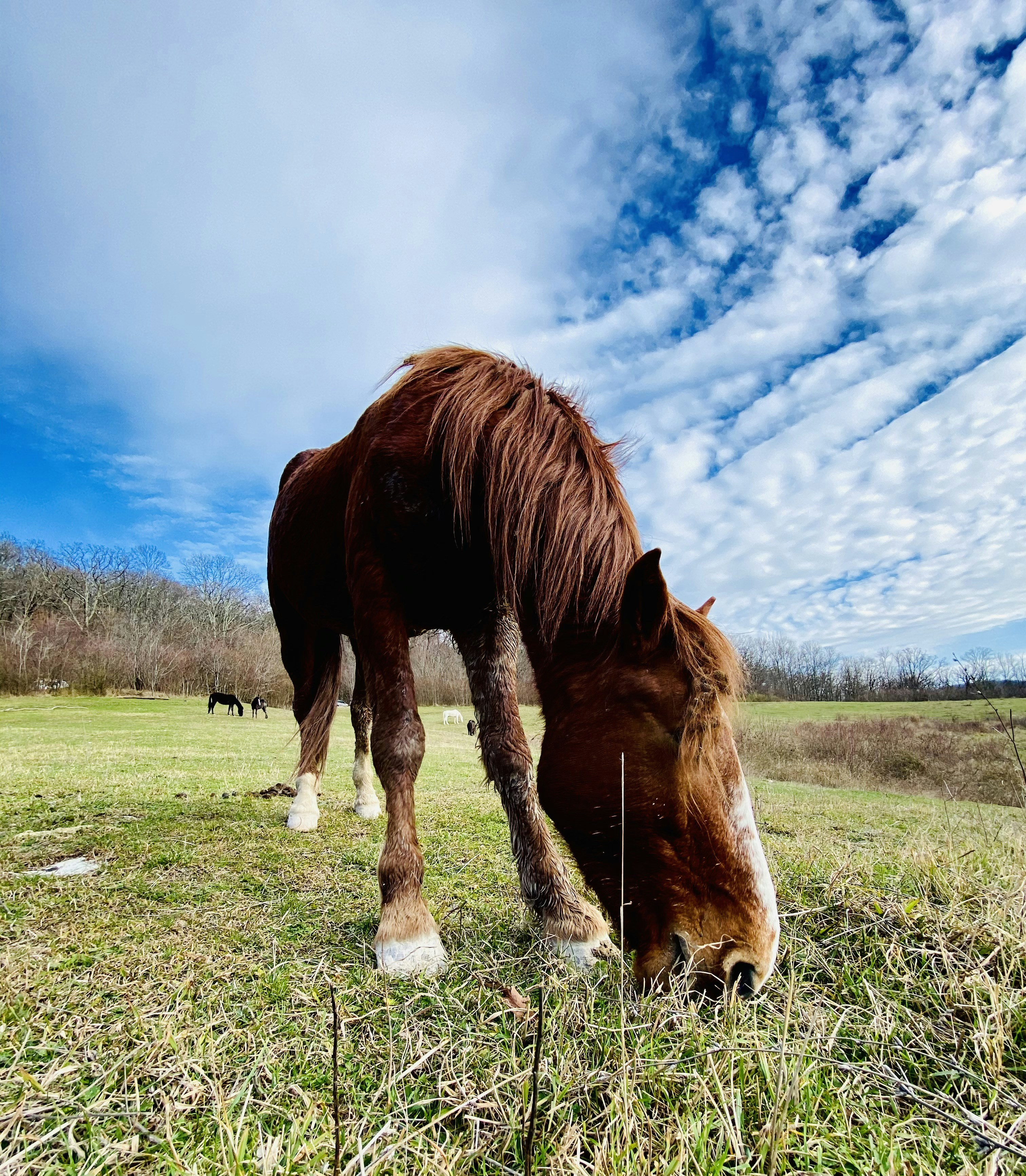 Photo by a_zvenigorodskii