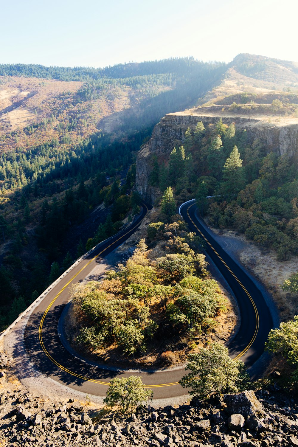 aerial view of green trees and gray asphalt road during daytime