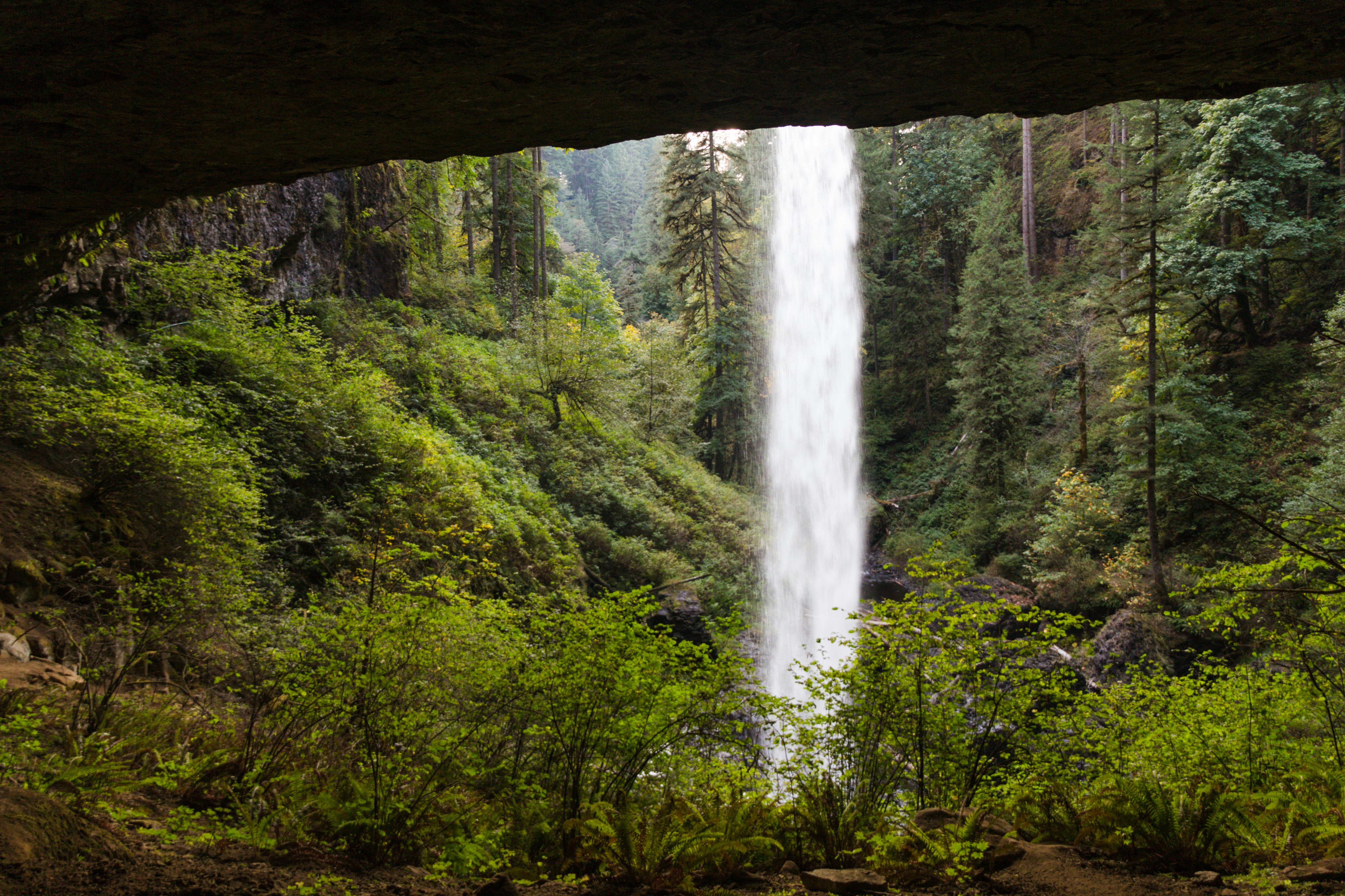 waterfalls in the middle of forest during daytime