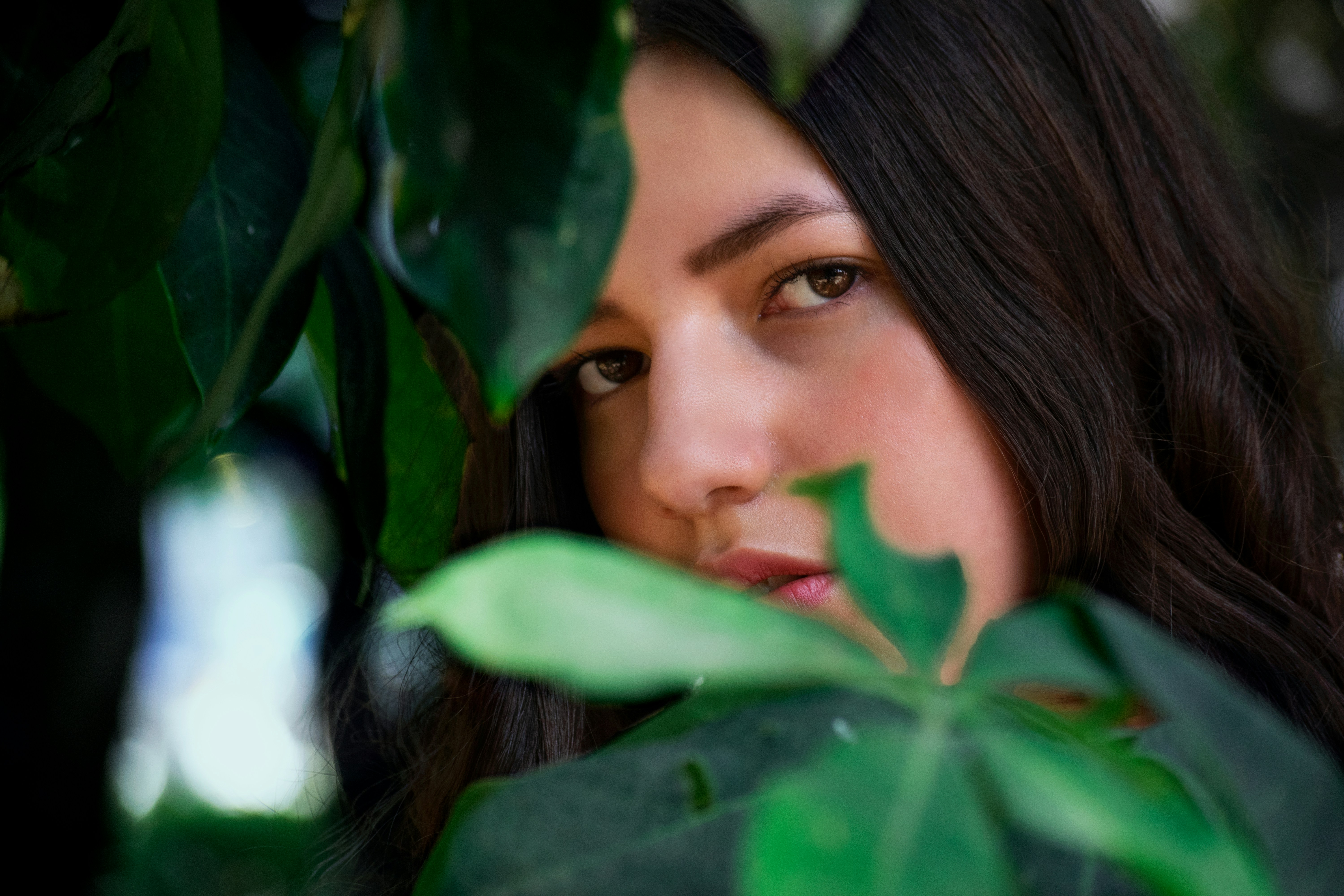 Girl in the park checking out and looking across the leaves of a small tree