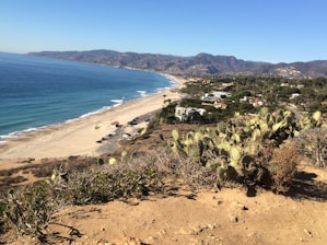 A scenic view of the coastline in Los Cabos.
