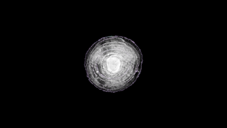 A circular, translucent object with multiple concentric rings is centered against a completely black background. The object resembles a cross-section of a geological formation or ice, with varying shades of white and gray.
