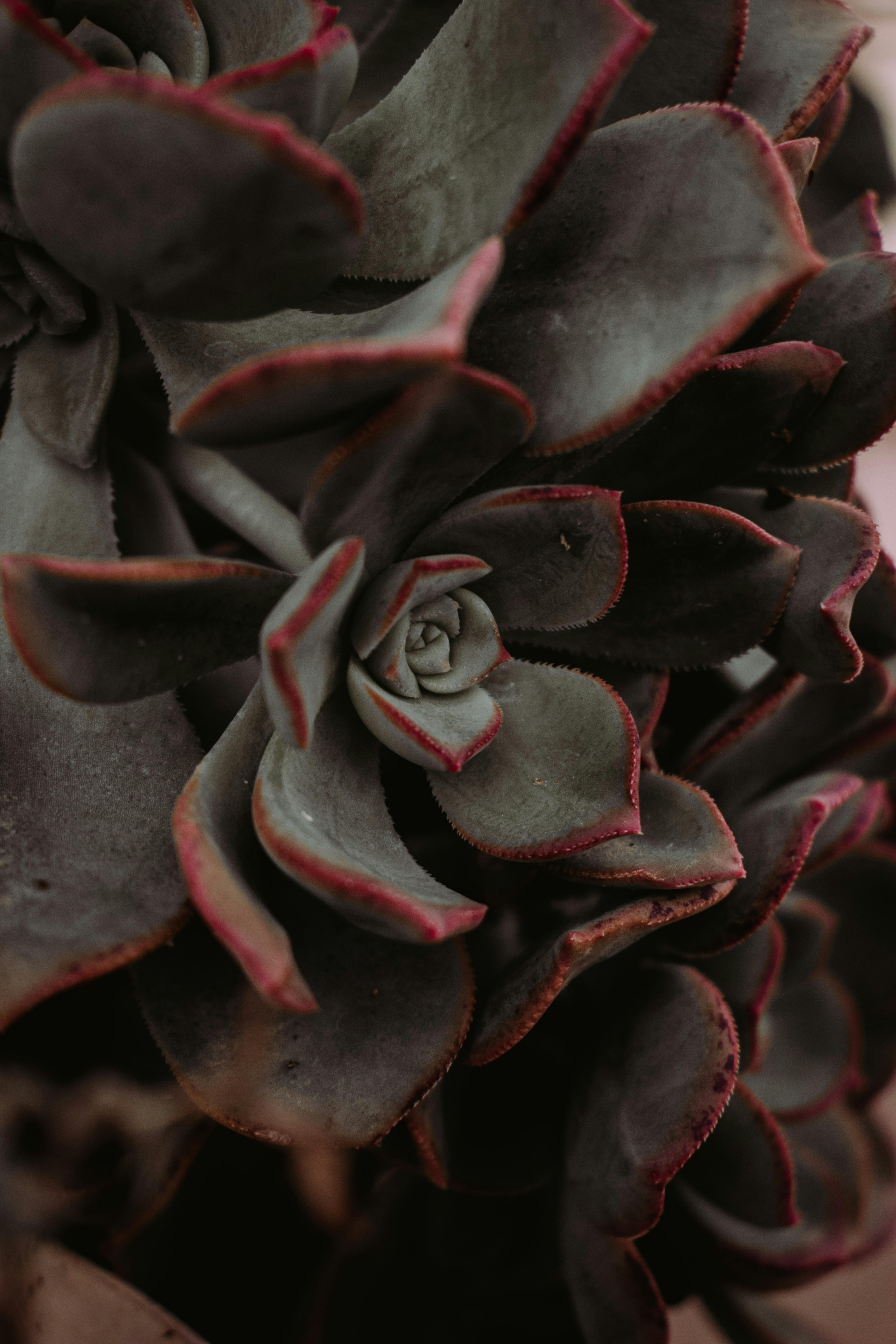 Photo by bilal_ayadi