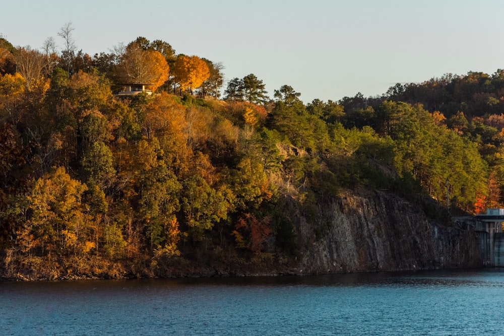 green and brown trees on brown rock formation beside blue sea during daytime