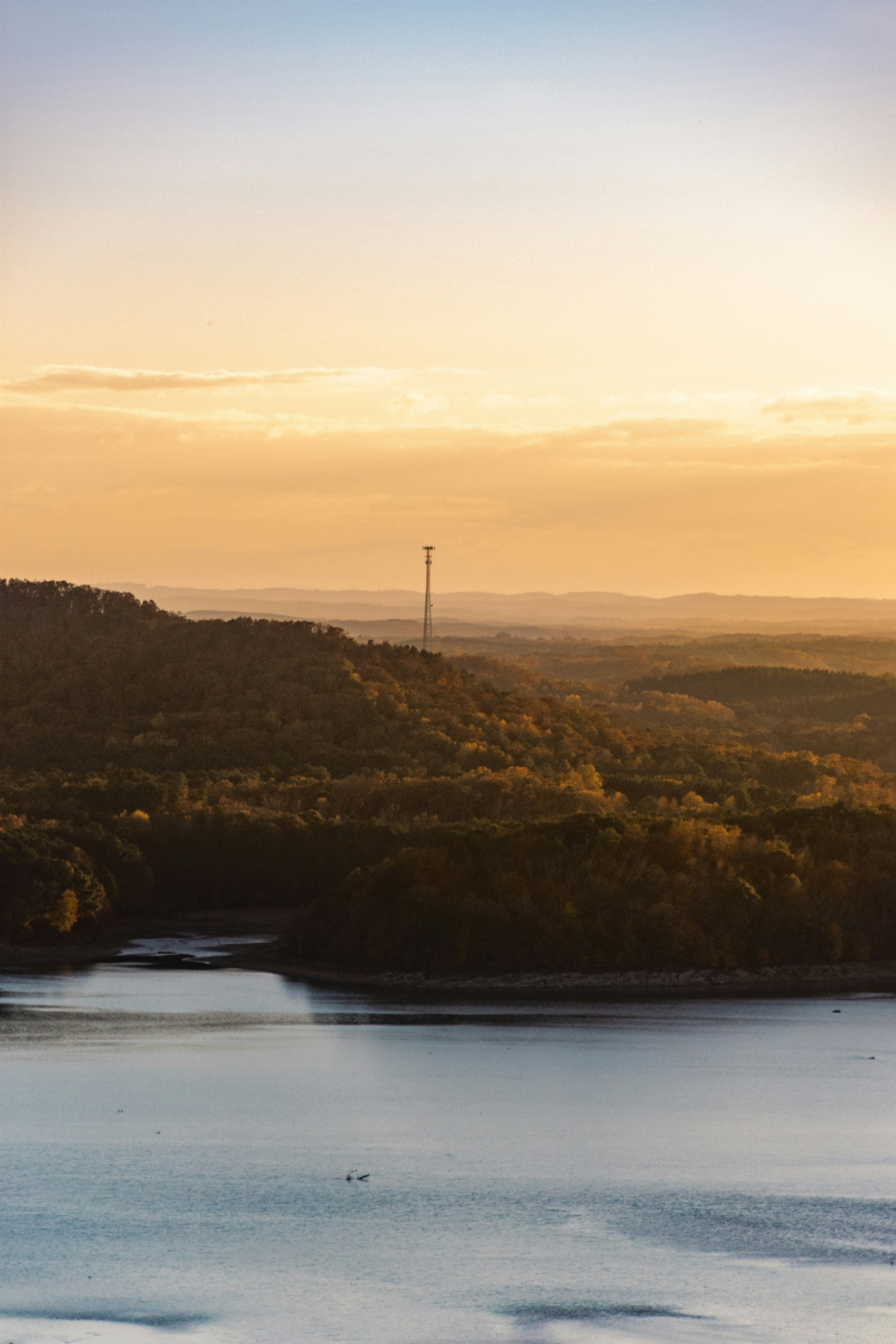 green trees near body of water during sunset