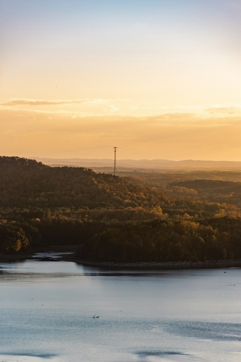 green trees near body of water during sunset