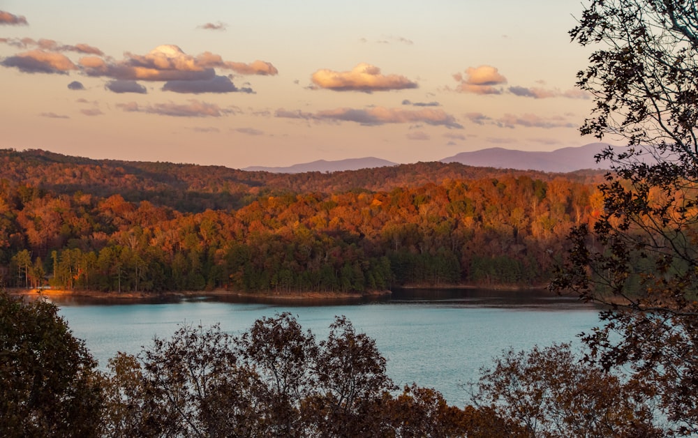 a lake surrounded by trees with a mountain in the background