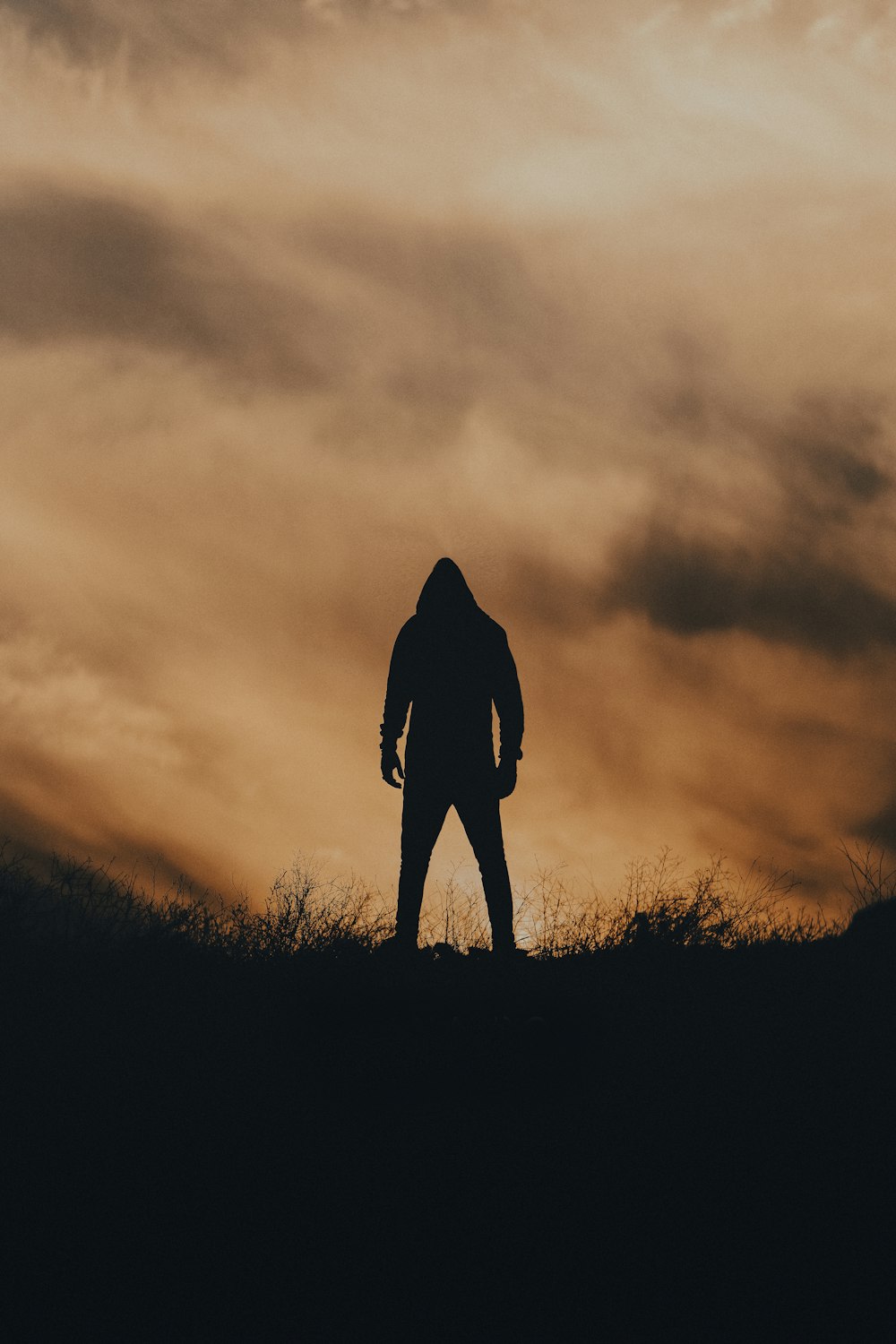 silhouette of person standing on grass field during sunset