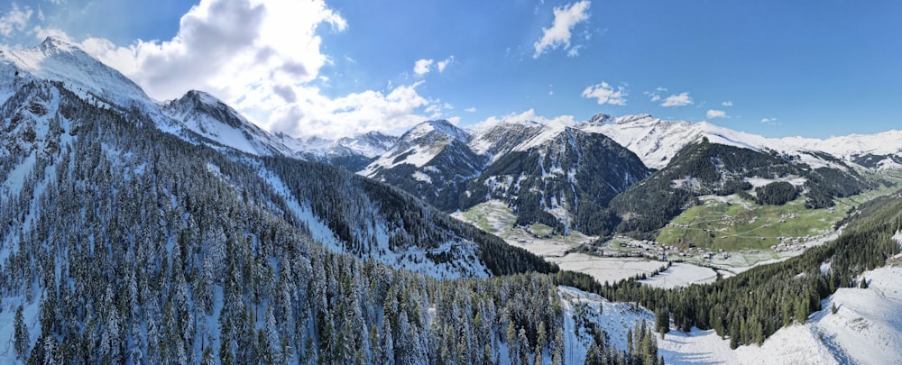 green pine trees on snow covered mountain under blue sky during daytime