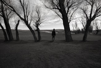 An expressive outdoor scene that evokes feelings of loneliness and hope.