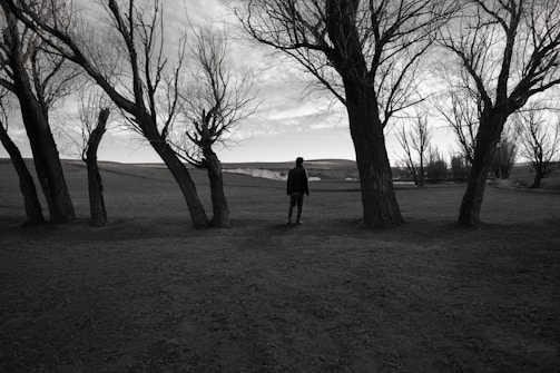 An expressive outdoor scene that evokes feelings of loneliness and hope.