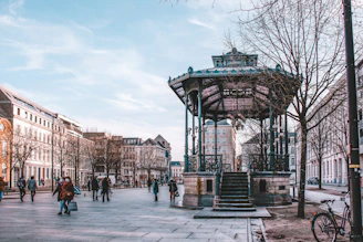 people walking on park during daytime