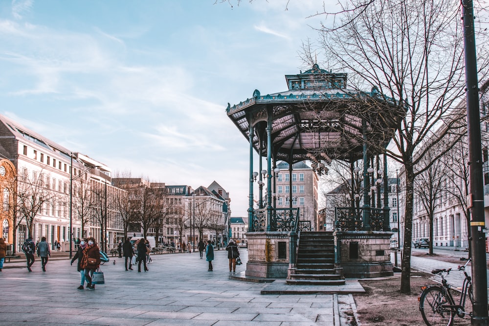 people walking on park during daytime