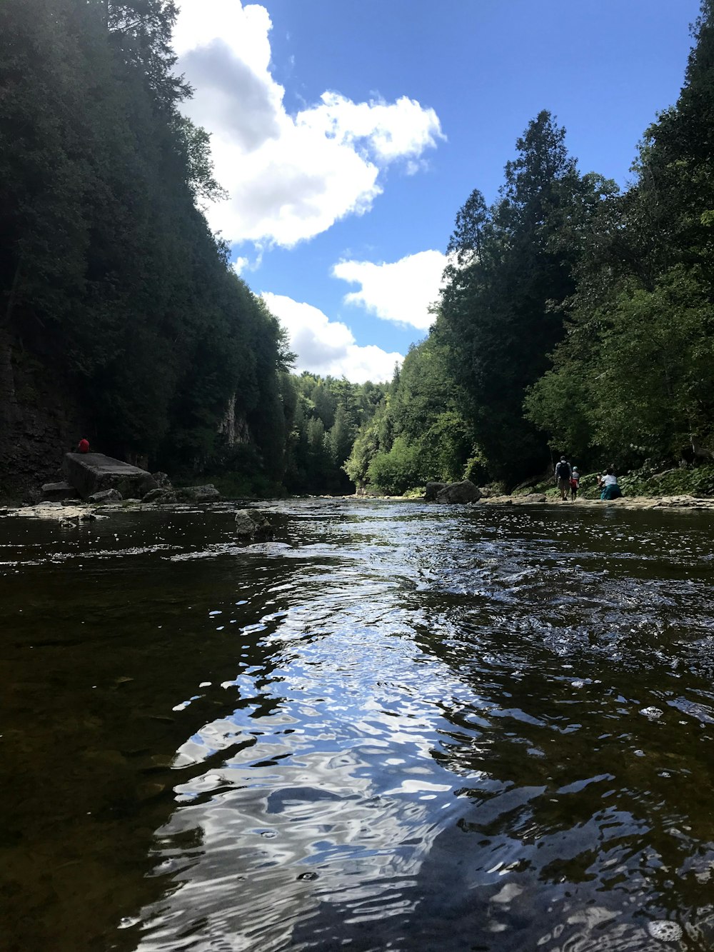 people walking on river between green trees during daytime