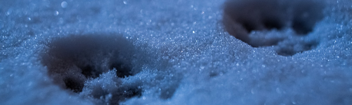 blue and white water droplets