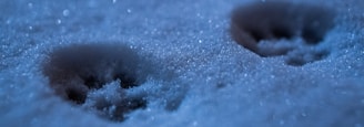 blue and white water droplets